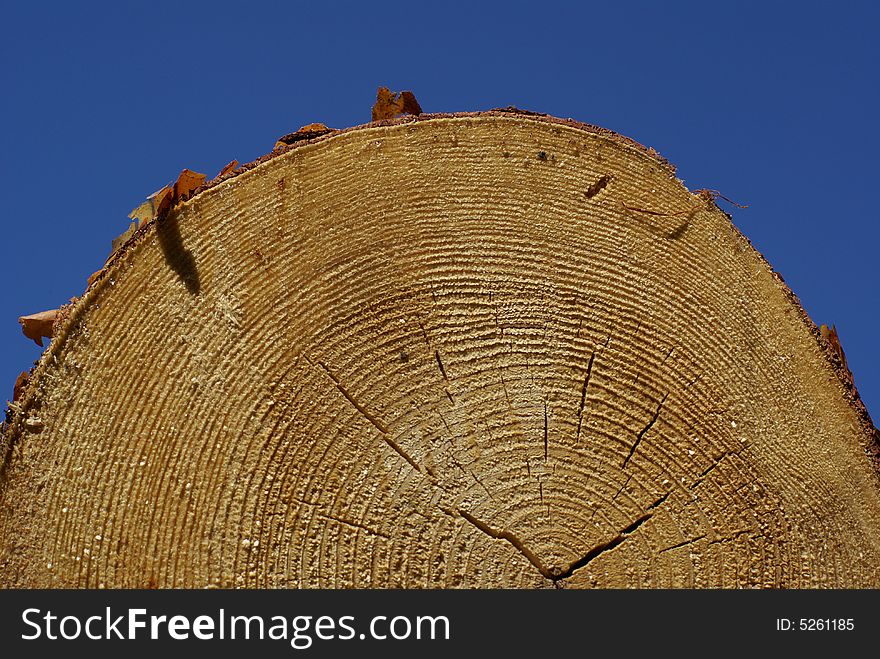 Cut Of Wooden With Blue Sky On Background