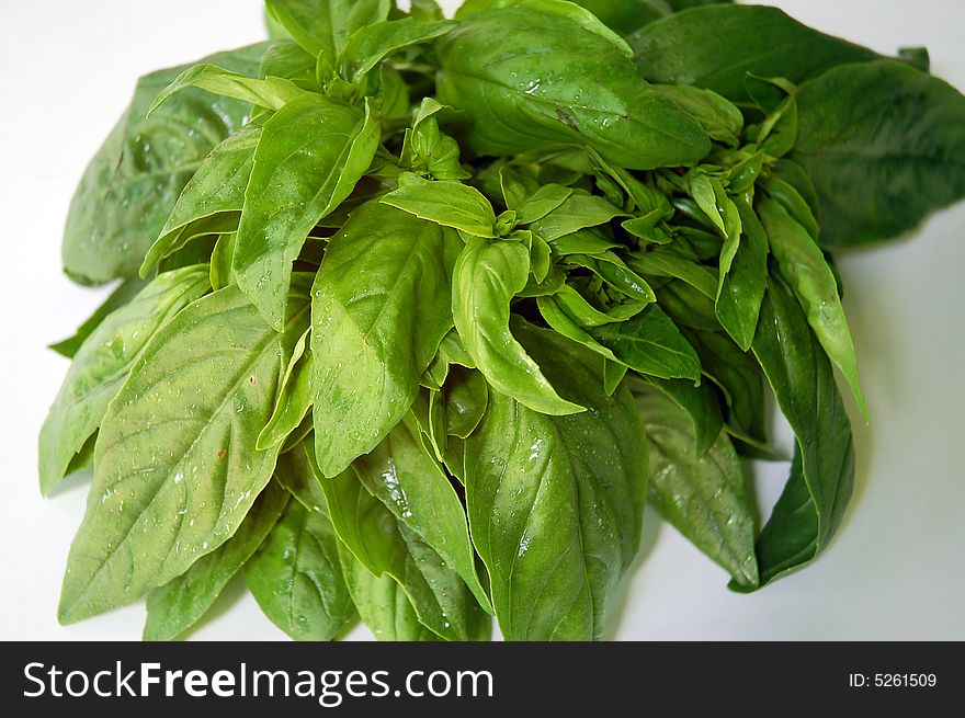 A bunch of leafy green basil leaves