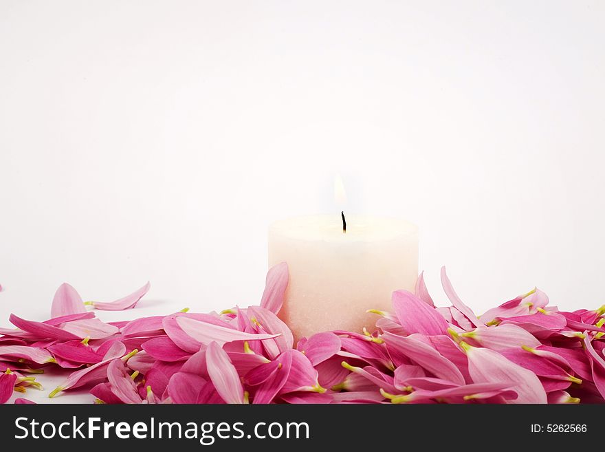 An image of pink petals and candle. An image of pink petals and candle