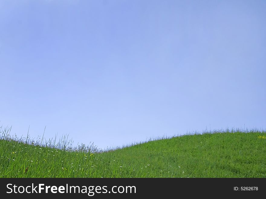Summer green landscape with clear sky on background