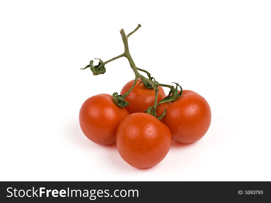 Bunch of tomatoes on a twig, isolated