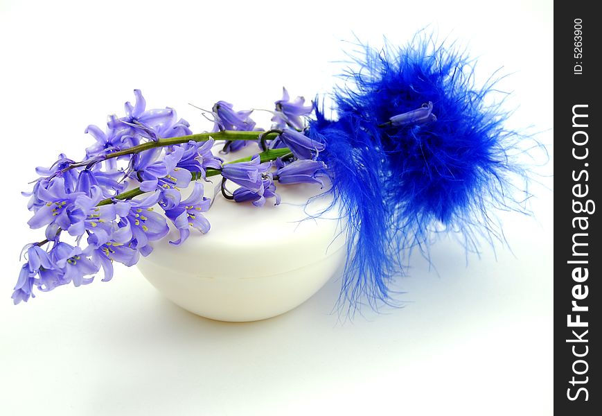 Cosmetics, cream with flowers and plumage. Cosmetics, cream with flowers and plumage