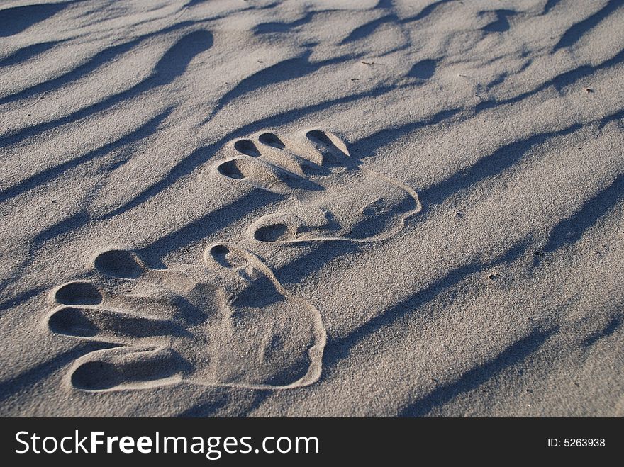 Two child's hand stamp on the sand