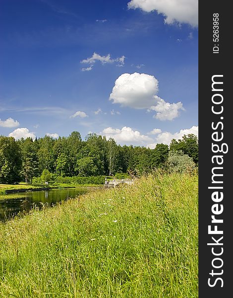 Green summer forest under blue sky with clouds. Green summer forest under blue sky with clouds