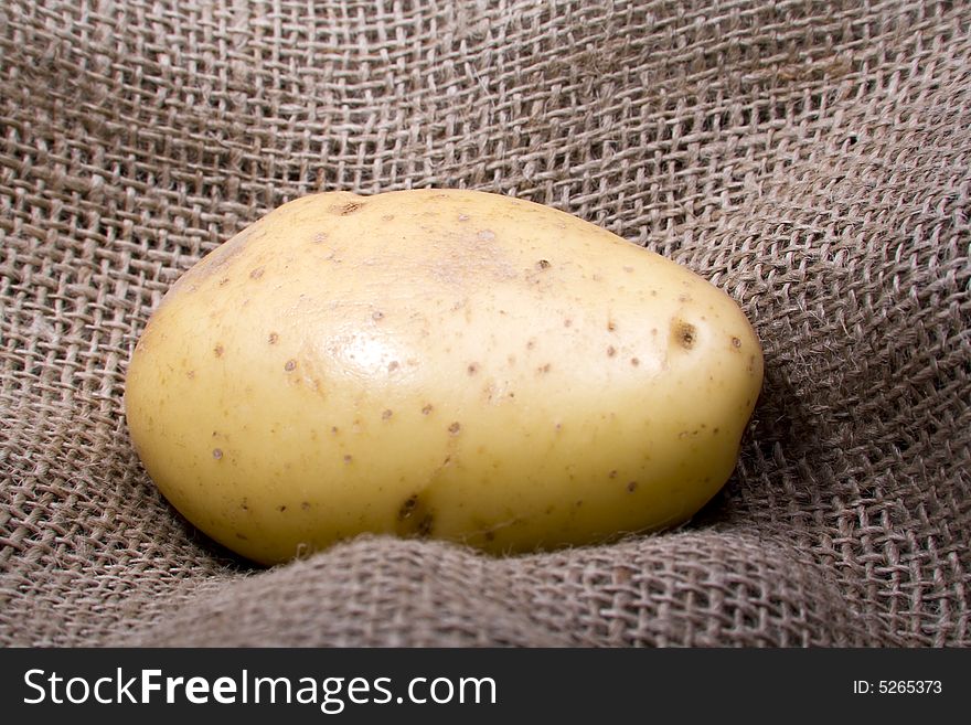 A fresh farm potato on burlap. A fresh farm potato on burlap.