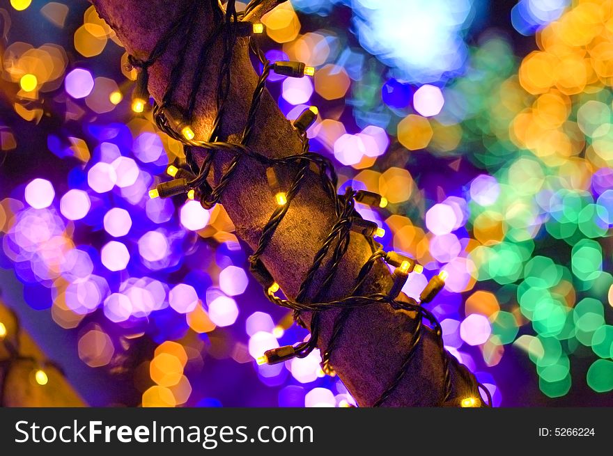 Christmas lights wrapped around a tree branch. Christmas lights wrapped around a tree branch.