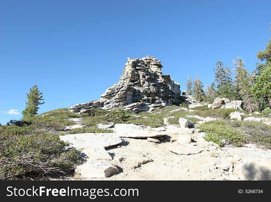 A rock in Yosemite park
