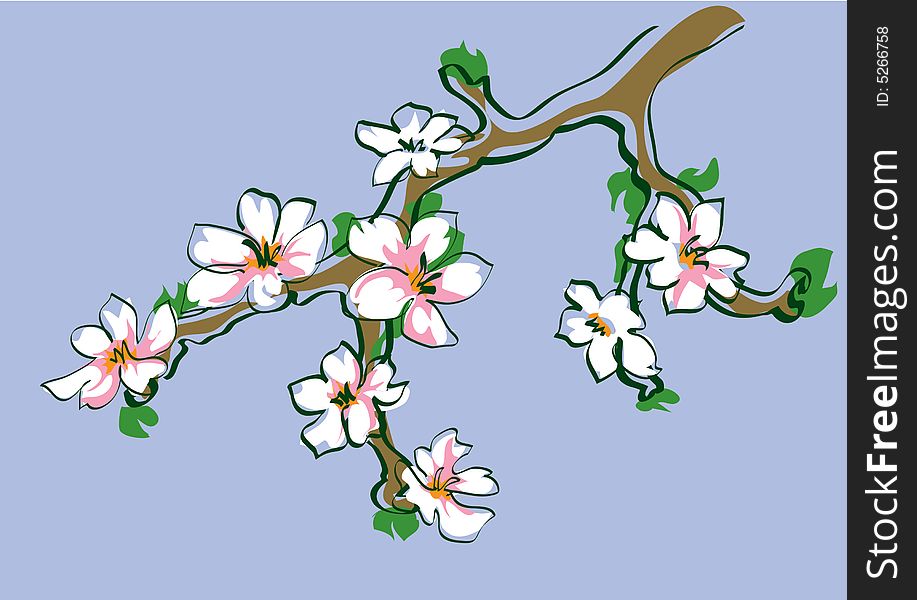 Simple coloured drawing of blosomed fruit tree branch. Simple coloured drawing of blosomed fruit tree branch