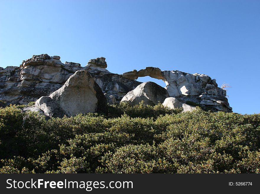A rock in Yosemite park