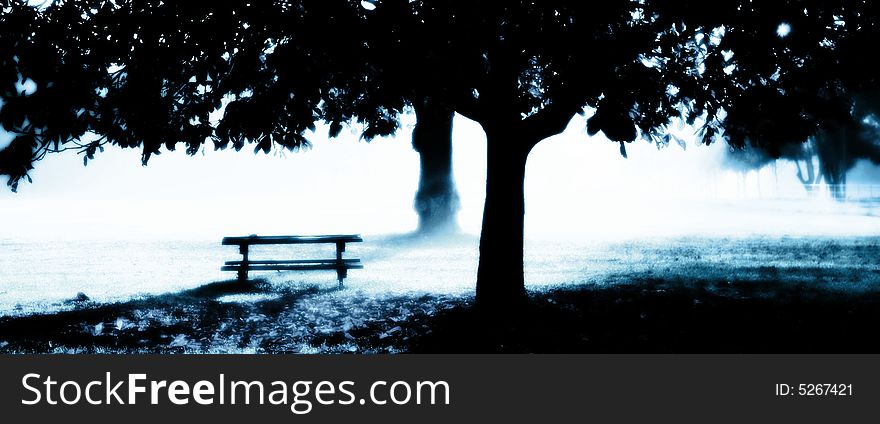 Misty Dawn with park bench