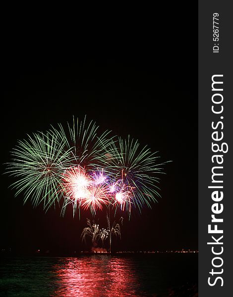 Colorful dandelion fireworks by the bay