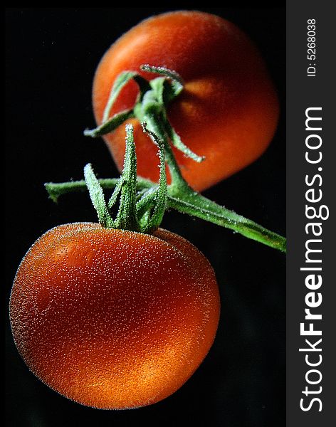 Close up red tomatoes in water with air bubbles