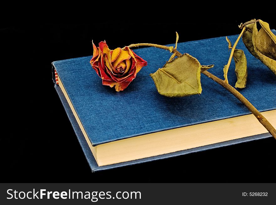 Dried-out rose on book  and bookstand