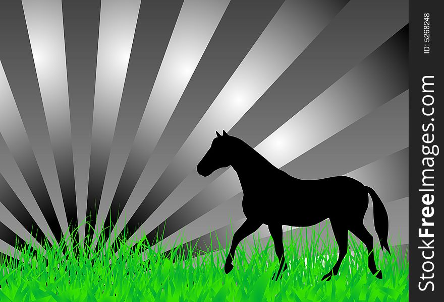 Horse on the grass illustration