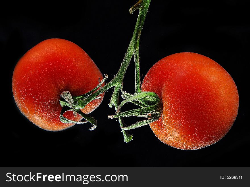 Close up red tomatoes in water with air bubbles. Close up red tomatoes in water with air bubbles