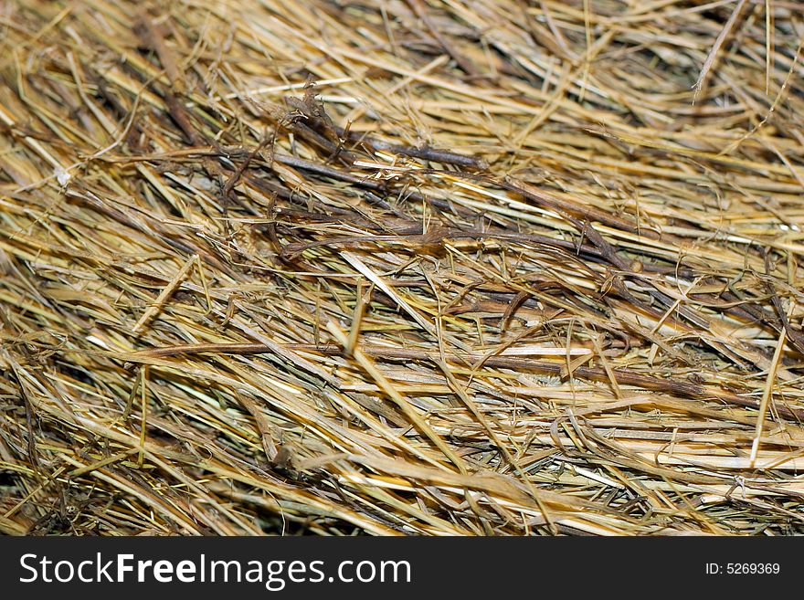 Yellow hay irregular background texture. Yellow hay irregular background texture