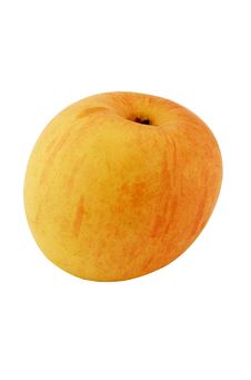 Rosy Apple Stock Image
