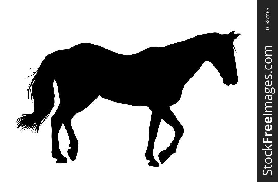 Illustration of horse silhouette on white background. Illustration of horse silhouette on white background