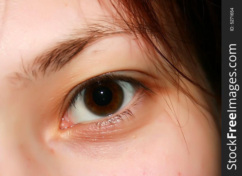 Close-up photo of beautiful woman brown eye. Close-up photo of beautiful woman brown eye