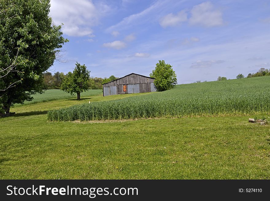 An Old Barn next to a Crop Field. An Old Barn next to a Crop Field