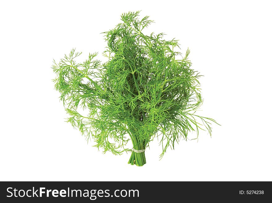 Green fennel bunch isolated on white background. Green fennel bunch isolated on white background