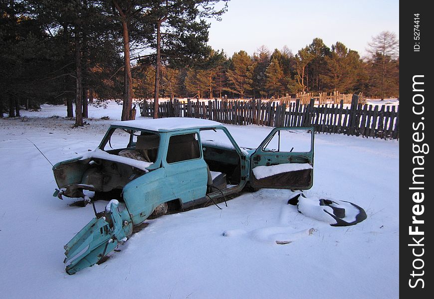 The Siberian taiga. Russia, 2007.