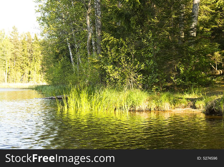 Lake And Nature