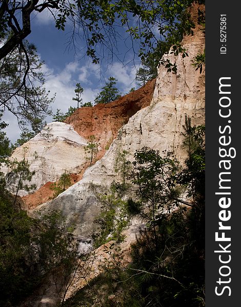 The only canyon in Georgia. It is result of uncontrolled soil erosion started in the early 1800's. The only canyon in Georgia. It is result of uncontrolled soil erosion started in the early 1800's
