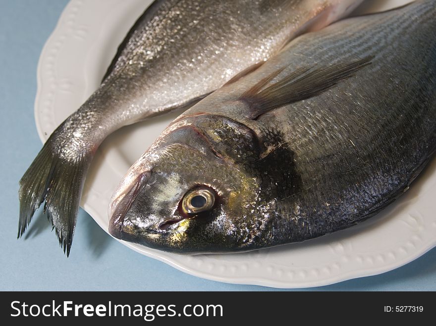 Tow raw gilthead fishes in a white dish. Tow raw gilthead fishes in a white dish