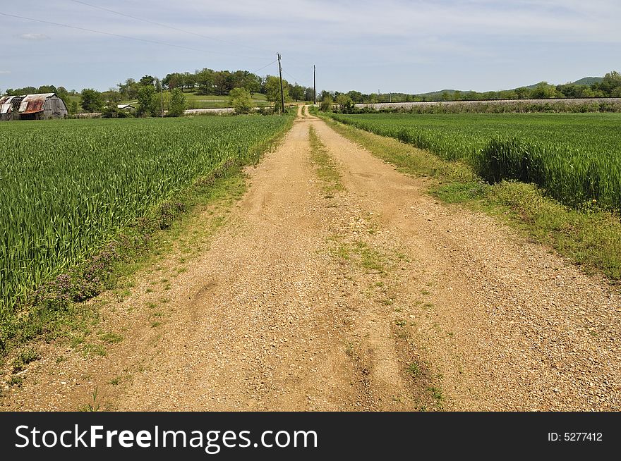 An Old Dirt Road On A Farm Down South