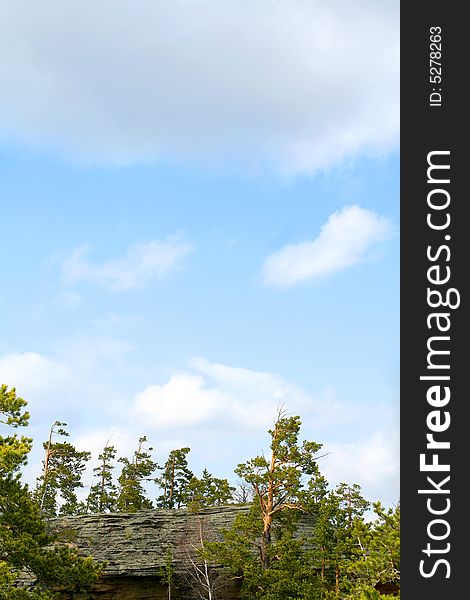 Landscape of green forest with bright blue sky