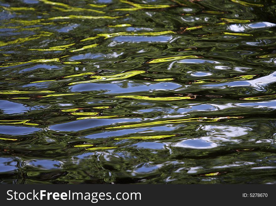 Green water texture natural texture