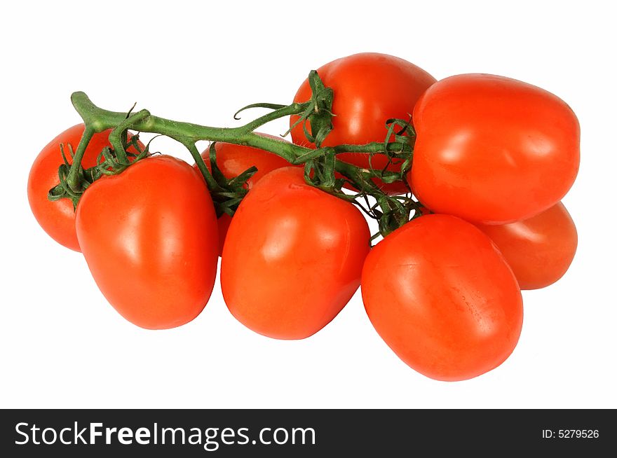 Branch ripe red tomatoes of autumn harvest. Branch ripe red tomatoes of autumn harvest