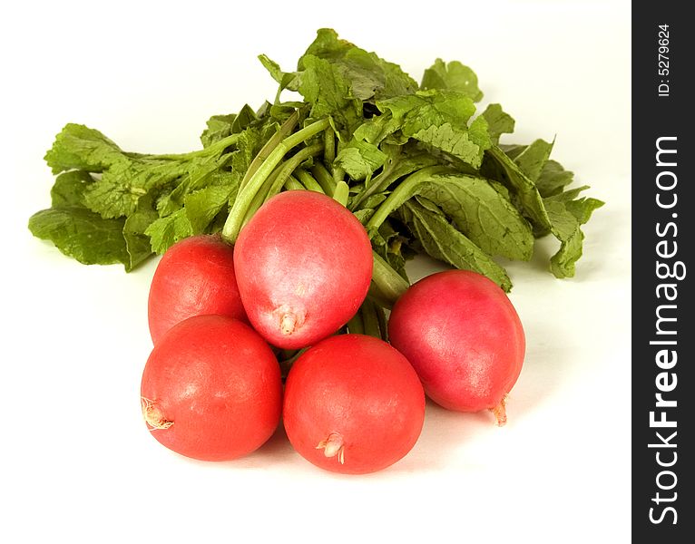 Red garden radish with leaves, collected in a vegetable garden