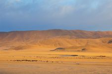 Grassland Stock Photography Grassland Stock Photography
