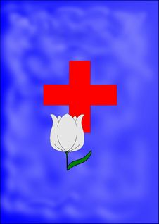 Red Cross And White Tulip Royalty Free Stock Images Red Cross And White Tulip Royalty Free Stock Images