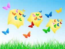 Butterflies In Envelope Royalty Free Stock Photography