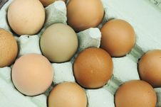 Fresh Free-range Chicken Eggs Royalty Free Stock Photo Fresh Free-range Chicken Eggs Royalty Free Stock Photo