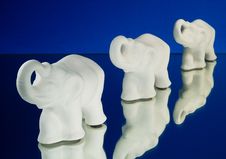 Elephants Stock Photography Elephants Stock Photography