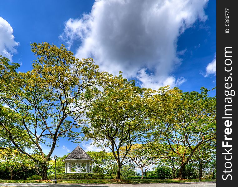 A pavilion surrounded by tall trees in a park. A pavilion surrounded by tall trees in a park