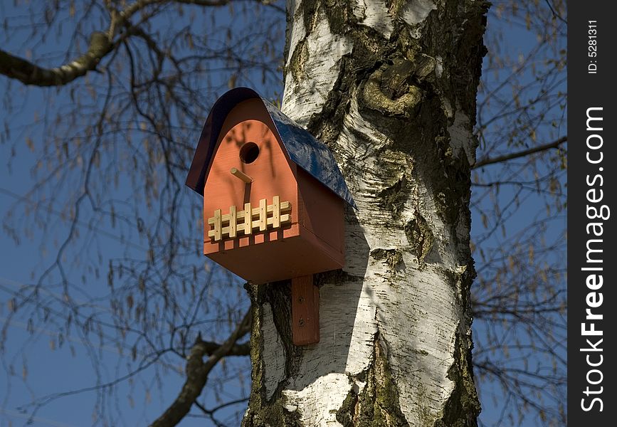 Red nesting box on a birch tree