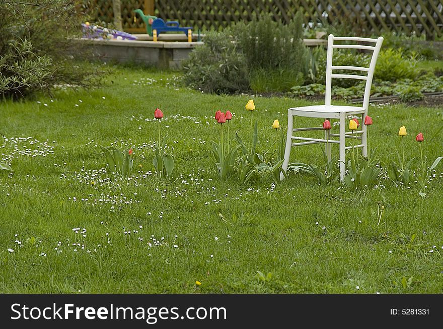 Nice place in the garden in the middle of tullips