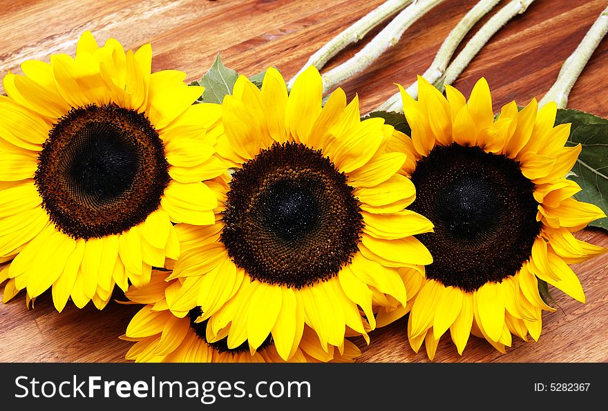 Sunflowers on a wooden table