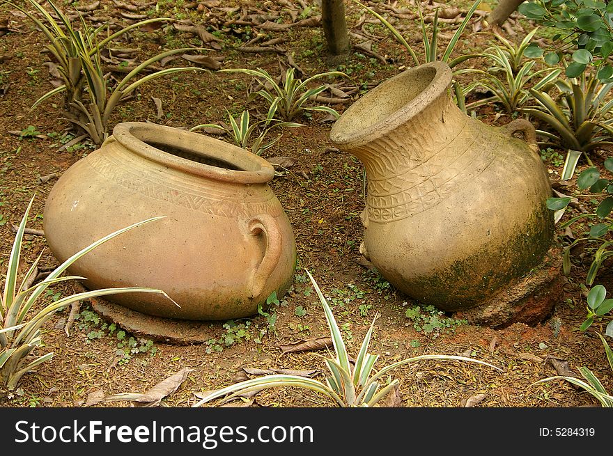 Two rotundity yellow gallipot on the ground. Two rotundity yellow gallipot on the ground.