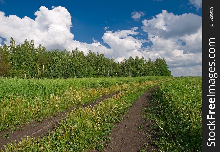 Landscape with countryside road, forest, sky and meadow