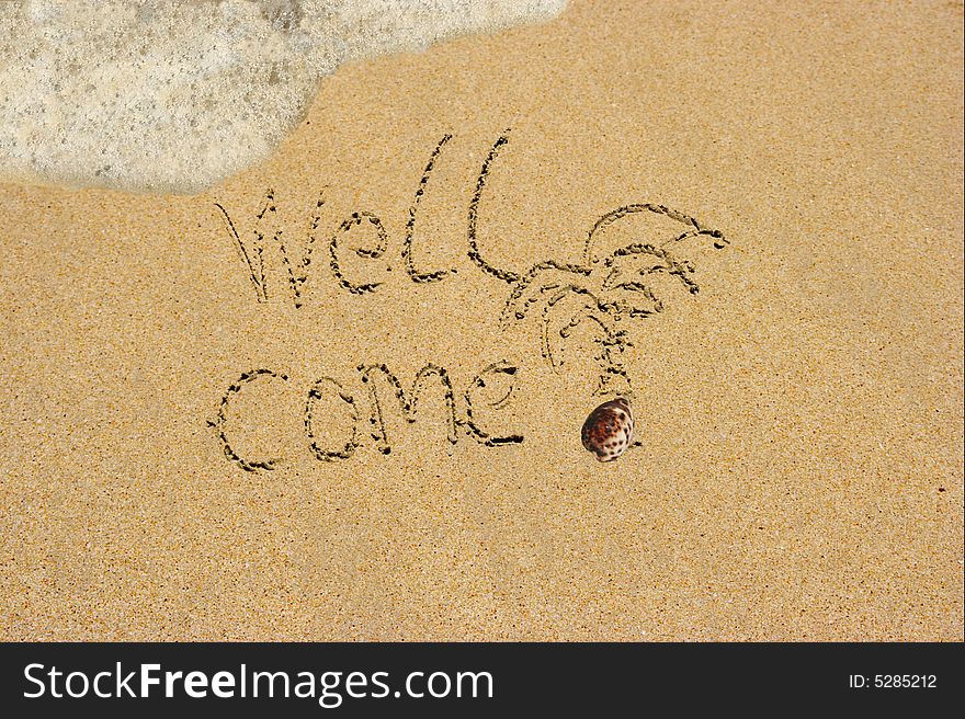 Well come is written and palm-tree is drawn on a sandy tropical beach . Well come is written and palm-tree is drawn on a sandy tropical beach .