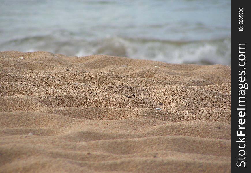 Close-up of a beach