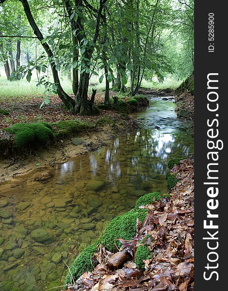 A small stream in a european forest, springtime, Italy. A small stream in a european forest, springtime, Italy.