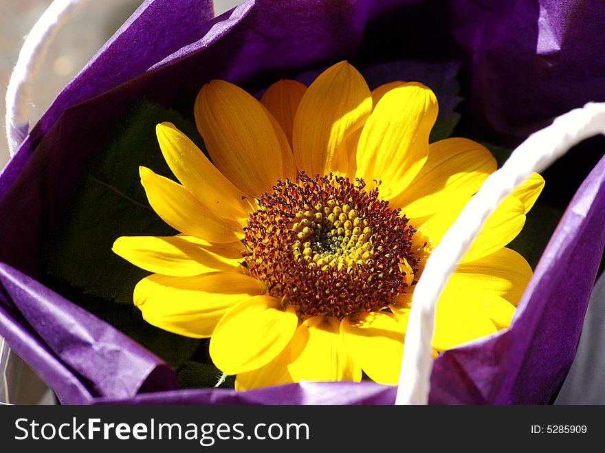 A purple bag with a sunflower