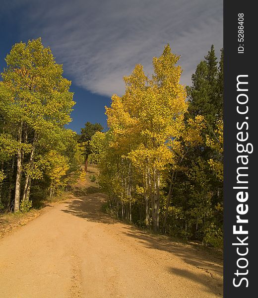 Fall begins on a road outside Allenspark, Colorado